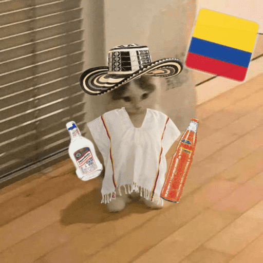 Seleccion de colombia 2026 13