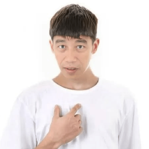 Jokowi meme 1
