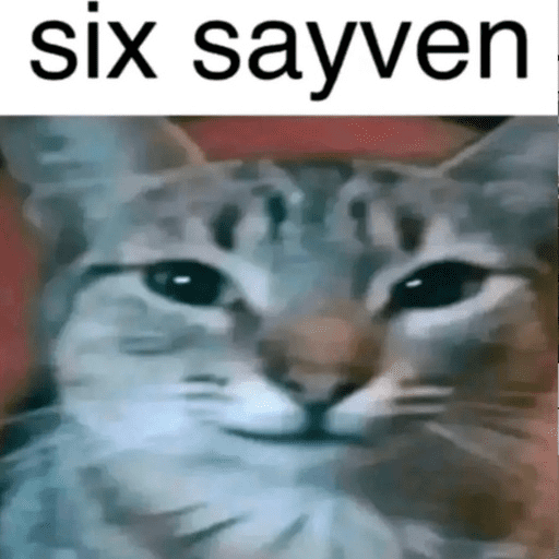 Gatos Majaderos 😳 10