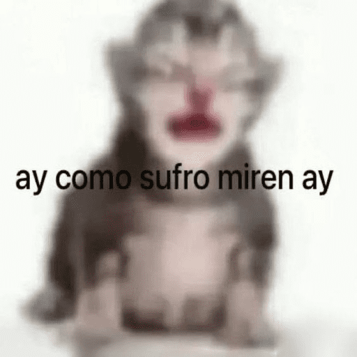 Gatos Majaderos 😳 11