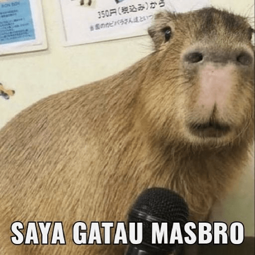 Masbro capybara🔥 9