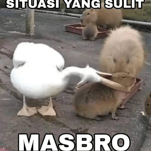 Masbro capybara🔥 7