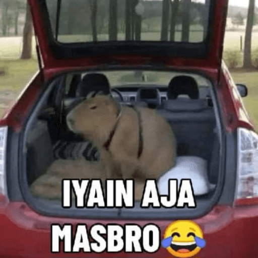 Masbro capybara🔥 8