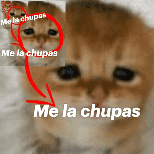 Me la chupas
Me la chupas
Me la chupas