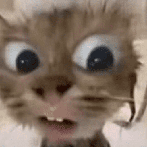 TikTok Chat 5