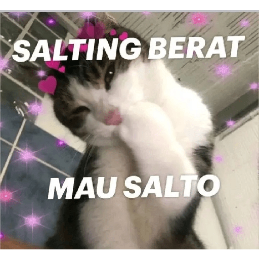 Sticker salting / blushing 12