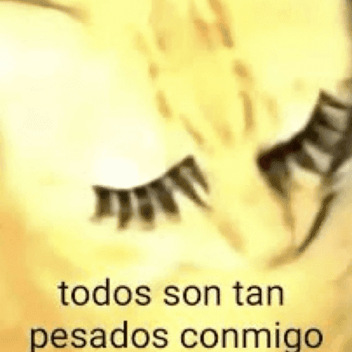 Gatos Majaderos 😳 14