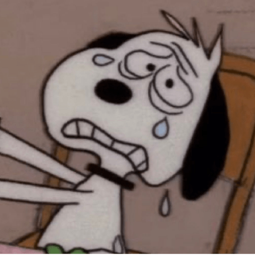 🐾Snoopy 4🐾 14