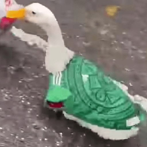 México 2026 🇲🇽🇲🇽 19