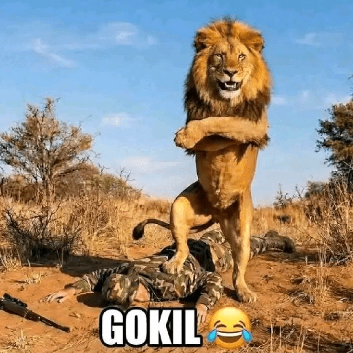 Gokil skin 1