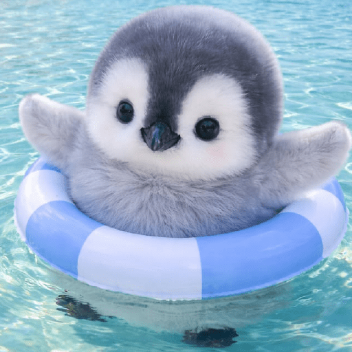 Pingüinos Stickers Varios 🐧  11