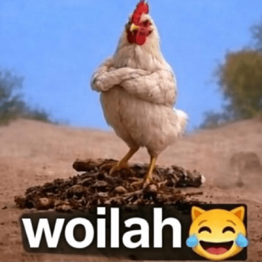 Gokil skin meme🔥 1