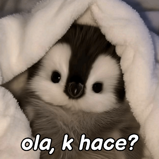 Pingüinos Stickers Varios 🐧  5