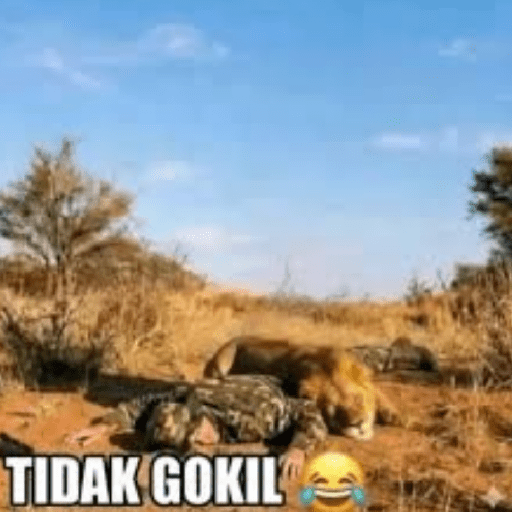 Gokil skin 20