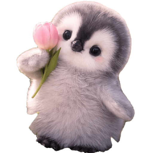 Pingüinos Stickers Varios 🐧  10
