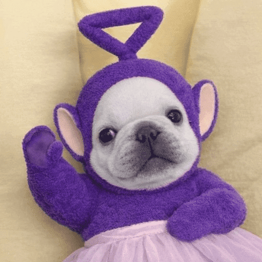 Pibble 🦴 13