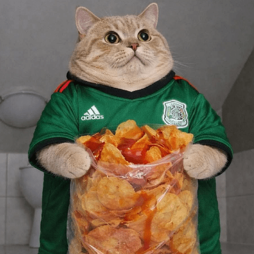 México 2026 🇲🇽🇲🇽 8