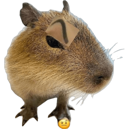 Masbro capybara🔥 5