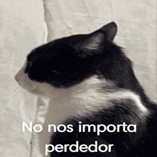 Gatos Majaderos 😳 7