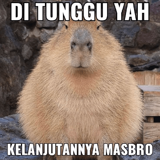 Masbro capybara🔥 6