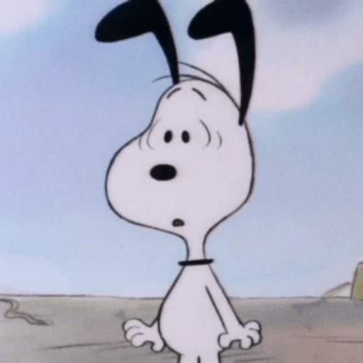 🐾Snoopy 4🐾 11