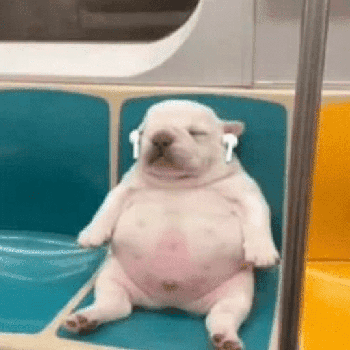 Pibble 🦴 3