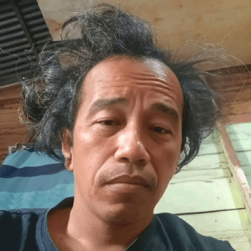 Jokowi meme 10