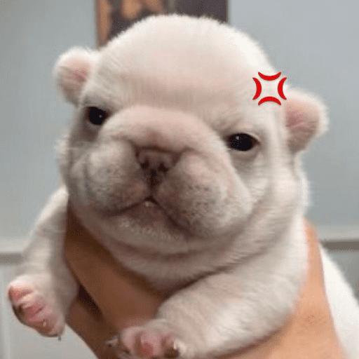 Pibble 🦴 11