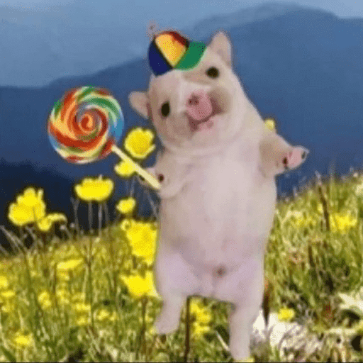 Pibble 🦴 9