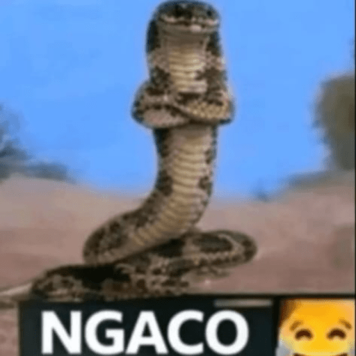 Gokil skin meme🔥 7