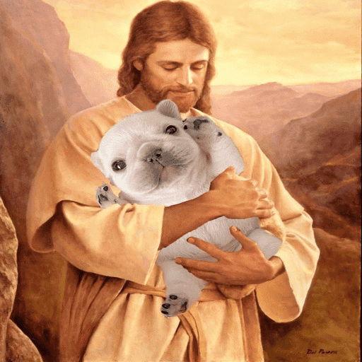 Pibble 🦴 2