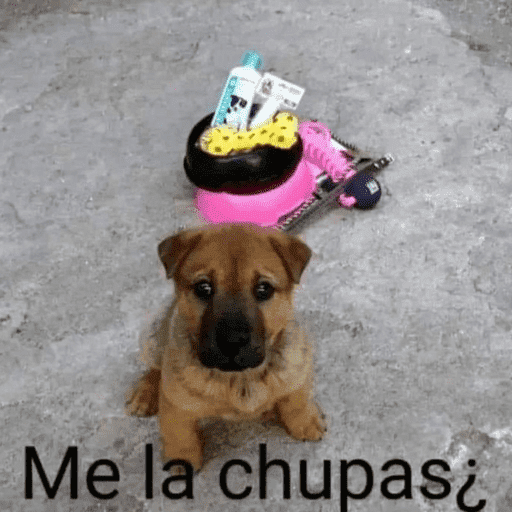 Me la chupasi