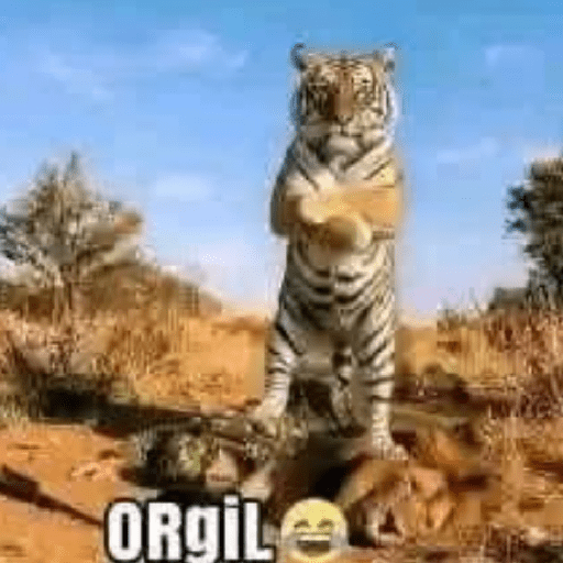 Gokil skin 11