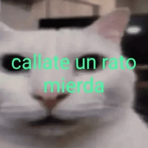 Gatos Majaderos 😳 6