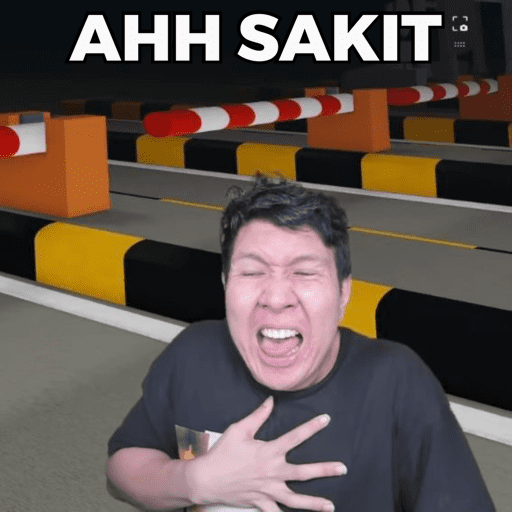 MEME WINDAH BASUDARA TERBARU 14