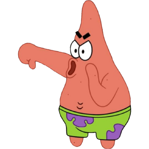 PATRICK 13