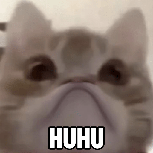 Meme Kucing 🐈 12