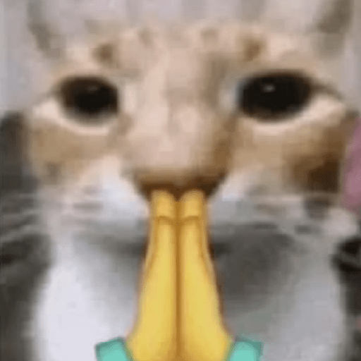 Hachimi kucing meme 11