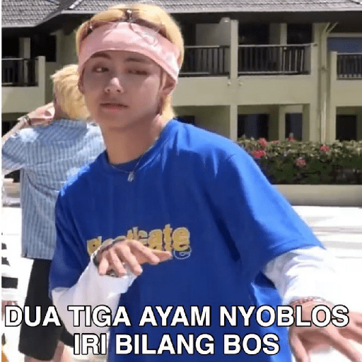 MEME 10