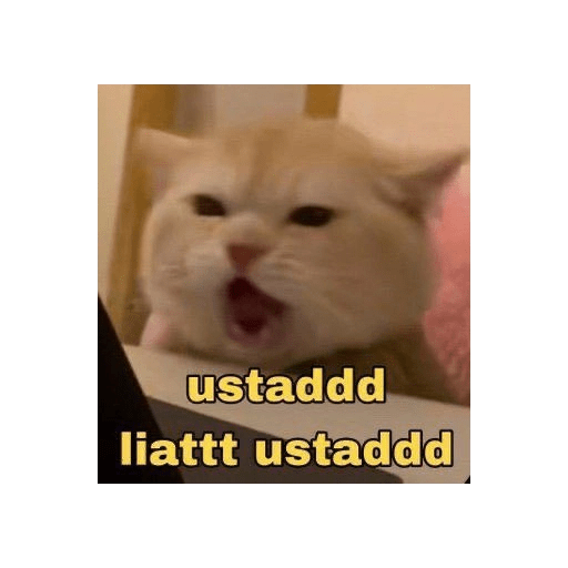 Tiktok reaction meme  8