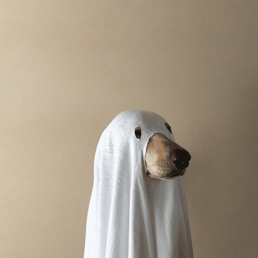 Memes - Halloween 🎃👻 14