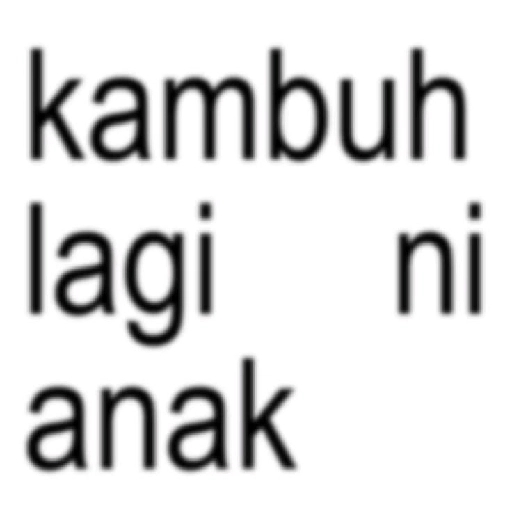 Kata-kata anomali teks  13