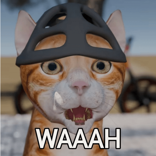 Kucing Oyen Pelontos 🐱 8