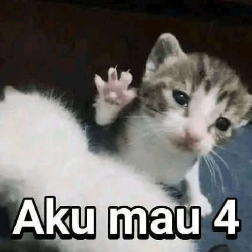 Meme Kucing 🐈 8