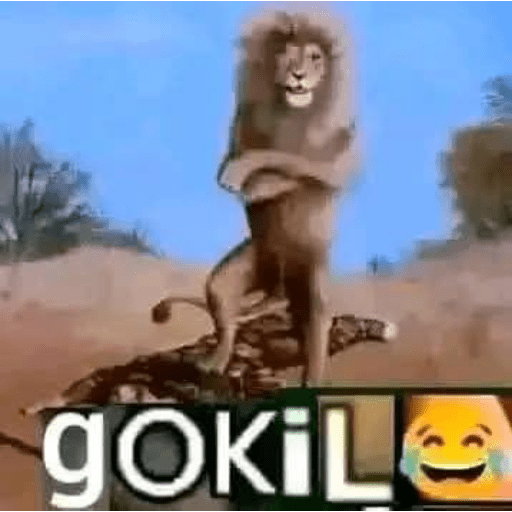 Meme singa gokil 1