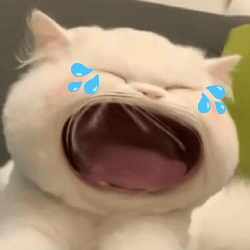 Meme Kucing 🐈 15