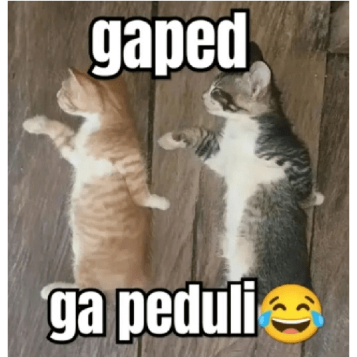 Stiker meme anomali lucu 30