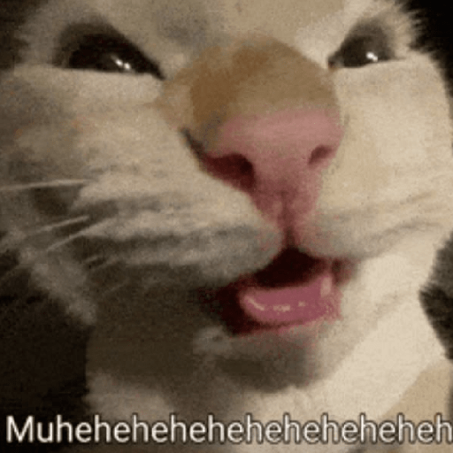 Hachimi kucing meme 14