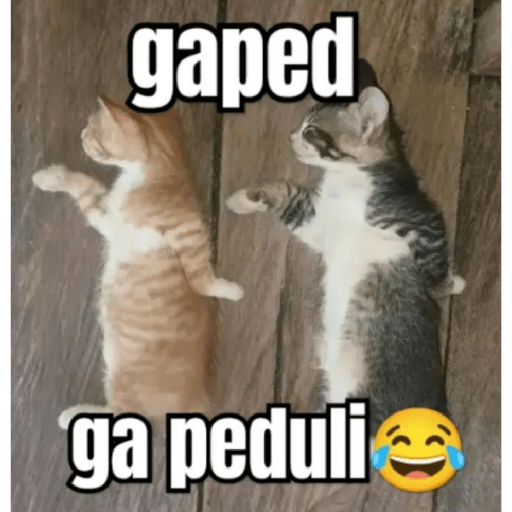 Sticker kucing meme 7