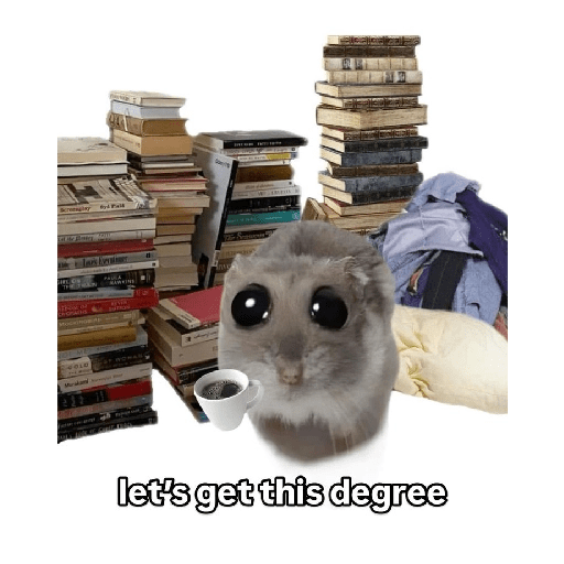 Studying memes 11